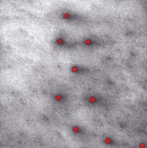 Na szarym tle widać dziewięć kropek. Kropki są czerwone i otoczone ciemnym obramowaniem. Tlo jest ziarniste i ma różne odcienie szarości.